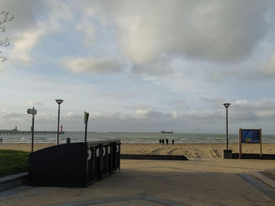 Face Nausicaa Et Plage Vue Panoramique Boulogne-sur-Mer Zewnętrze zdjęcie